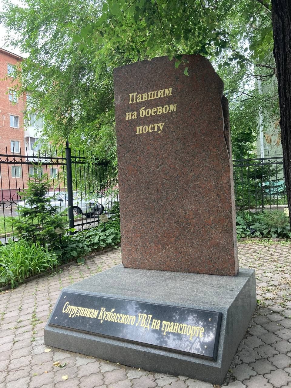 Фото студента КемГИК Беляевой Александры, 24 июня 2025 г.